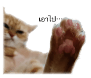 524187912