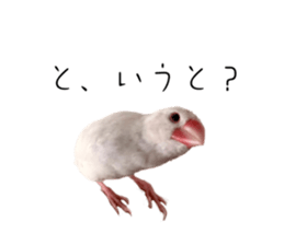 524266140