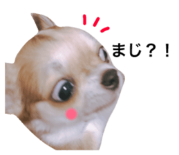 52431128