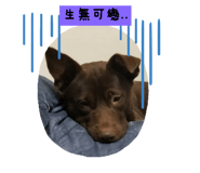 524315674