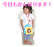 524339175