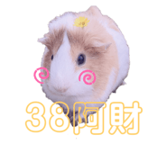524343898