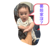524380225