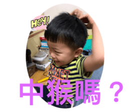 524384714