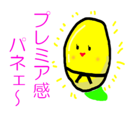 5243900