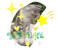 524391840