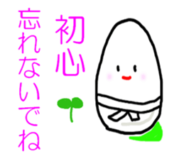 5243937