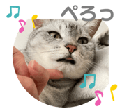 524407120