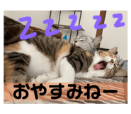 524407126