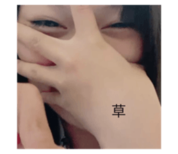 524446854