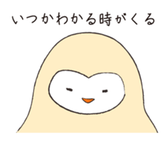 5244568