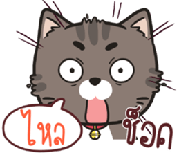 524496158