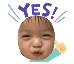 524516508