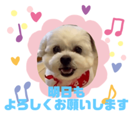524545019