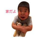 52460342