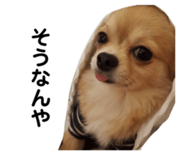 524604434