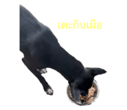524620534
