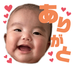 524651025
