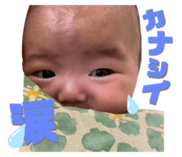 524651033