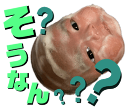 524651042