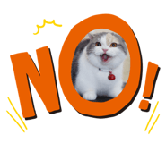 524662246