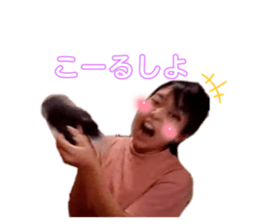 524666316