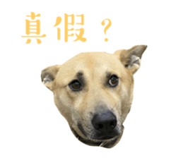 524668117