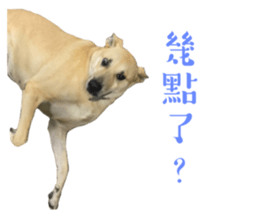 524668124