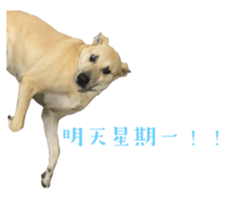 524668125