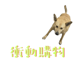 524668137