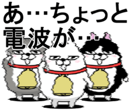 524669755