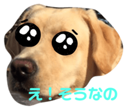 524683425