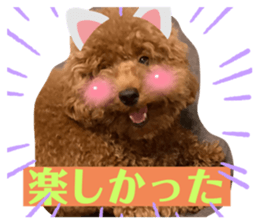 524683429