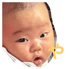 524692782