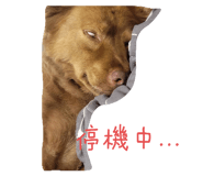 524697369