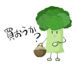 524701834