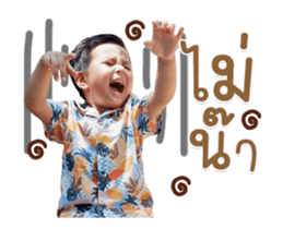 524704420