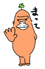 5247144