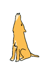 5247178
