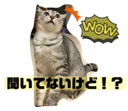 524733335