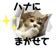 524733340