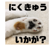 524733343