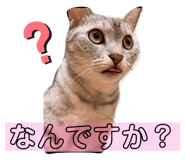 524733344
