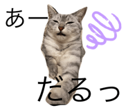 524733345
