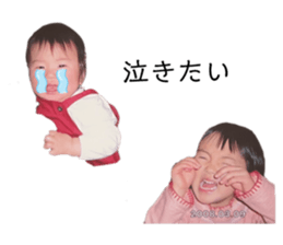 524744376