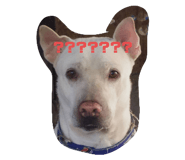 524746438