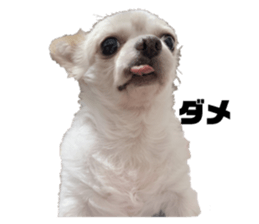 524758691