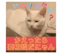 524858347