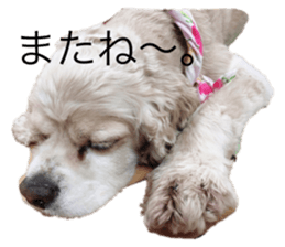 524926222