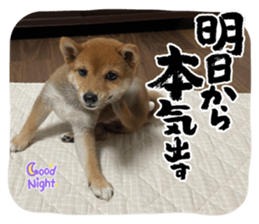 524939563